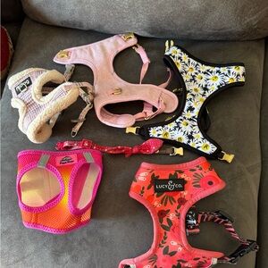 Collection of 6 Harness/ collar for dog.🐶